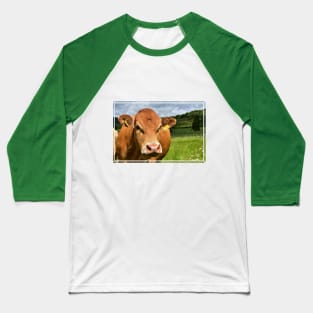 Love Cows Baseball T-Shirt